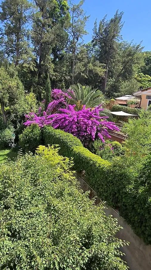 Oda ve Kahvaltı Villa Riari Garden Roma